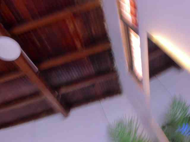 sophi-star webcam