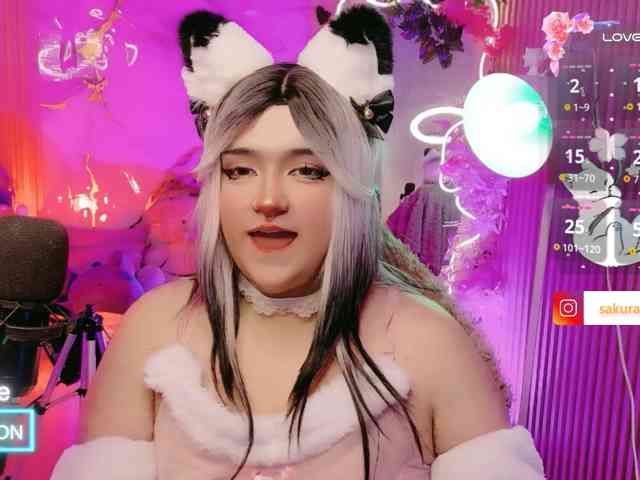 sakura-tay