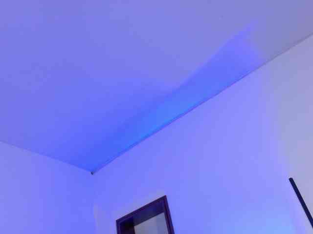 ScarletHiit webcam