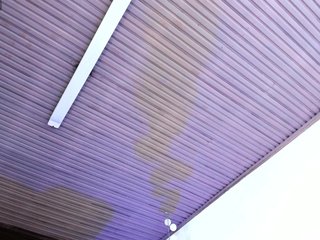 Mariia-Paulaa Porn Show