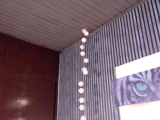 Mariia-Paulaa webcam