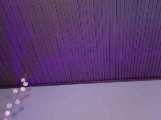 Mariia-Paulaa webcam