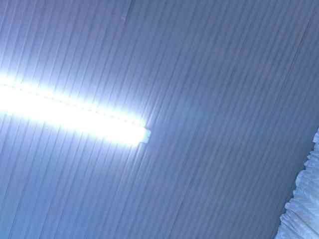 Mariia-Paulaa webcam