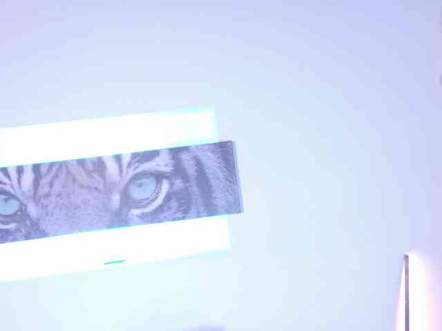 Mariia-Paulaa webcam