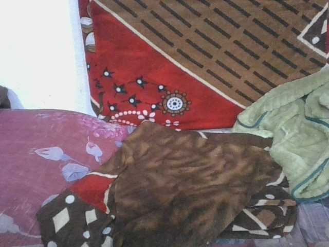 Marinah1a