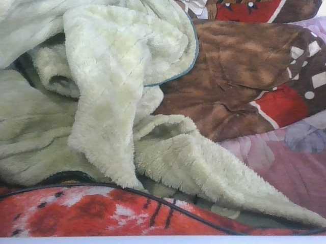 Marinah1a