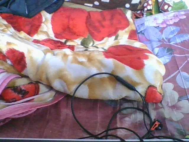 Marinah1a live cam on BongaCams