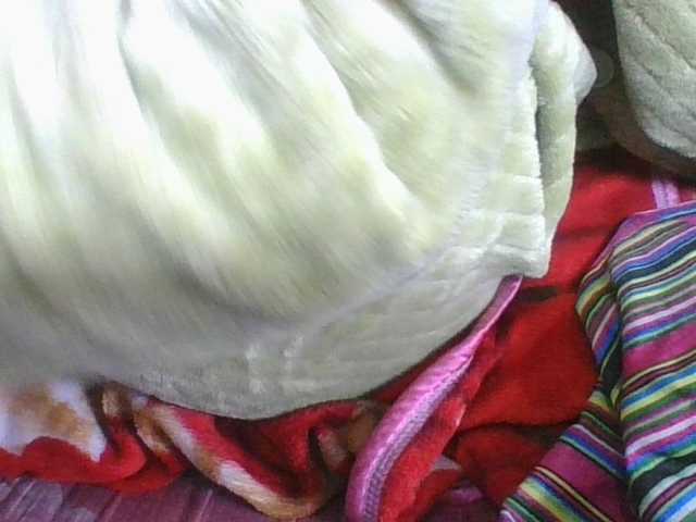 Marinah1a live cam on BongaCams
