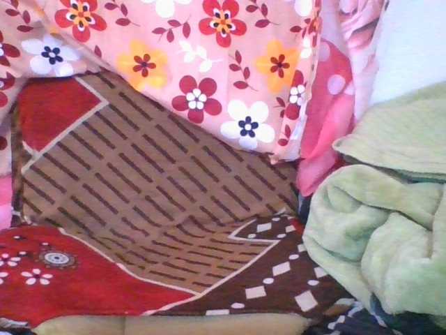 Marinah1a