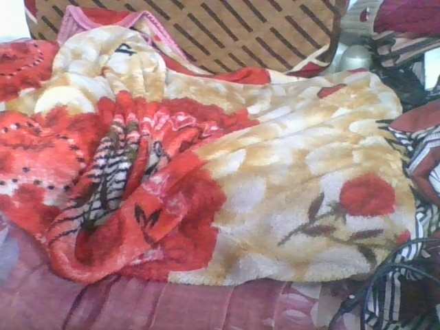 Marinah1a