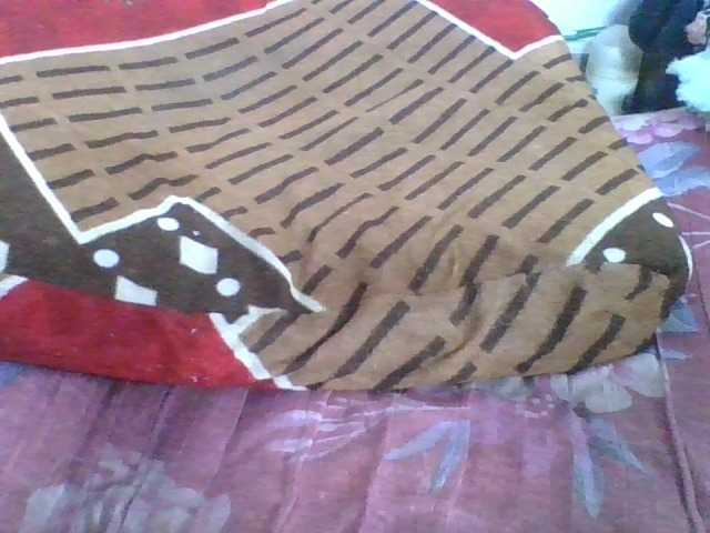Marinah1a