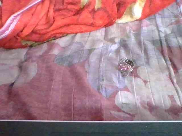 Marinah1a webcam
