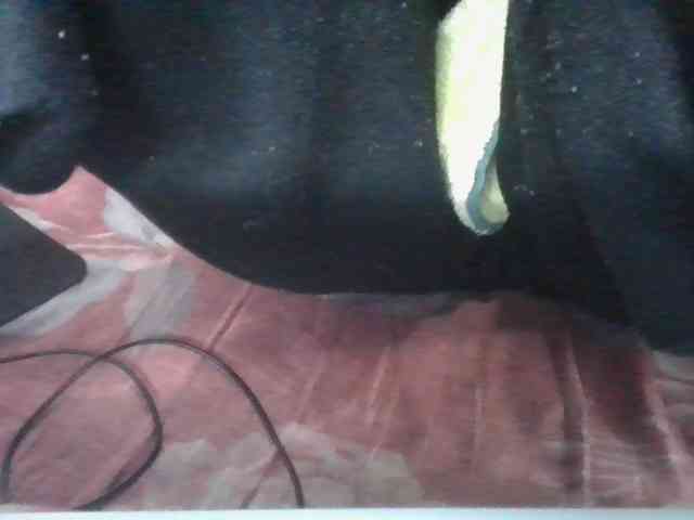 Marinah1a webcam