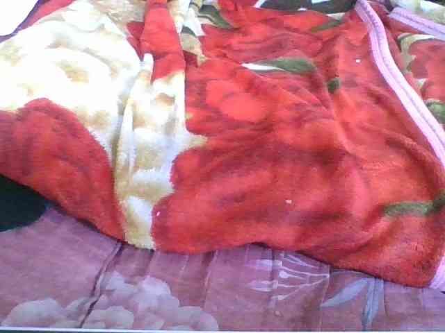 Marinah1a webcam