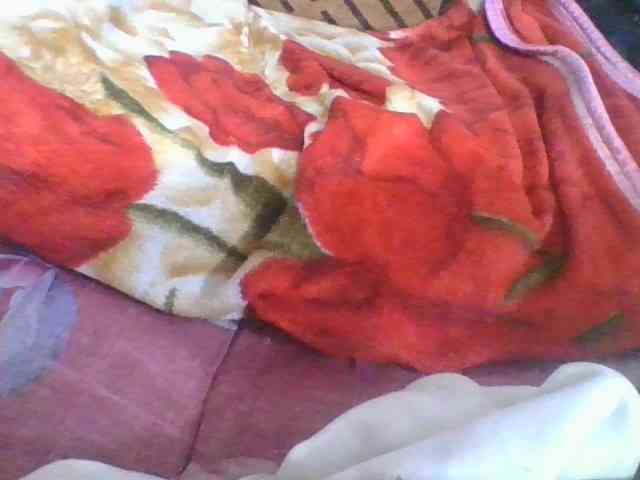 Marinah1a
