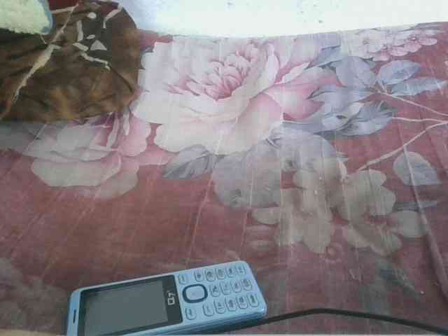 Marinah1a webcam