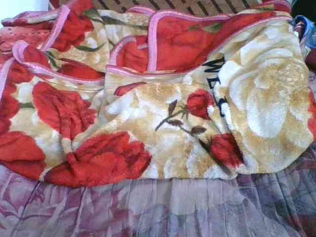 Marinah1a webcam