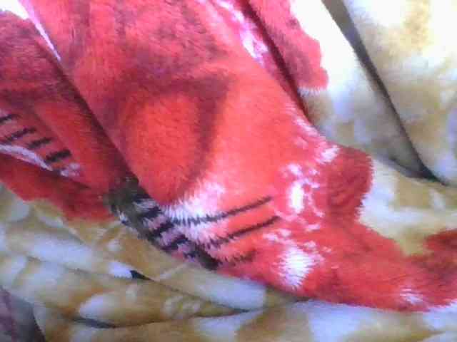Marinah1a webcam