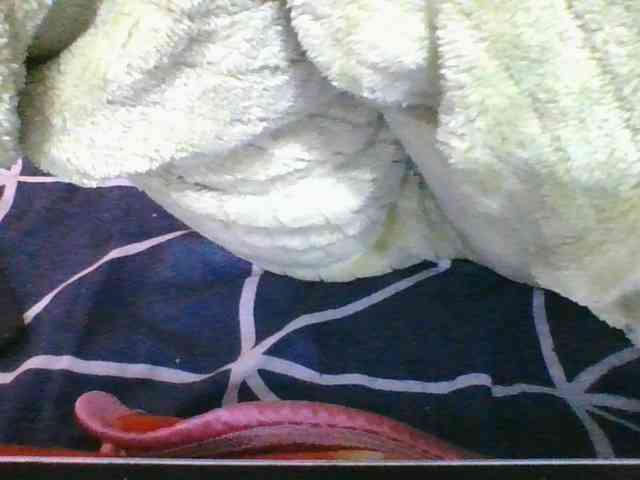 Marinah1a webcam