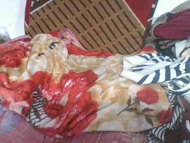 Marinah1a webcam