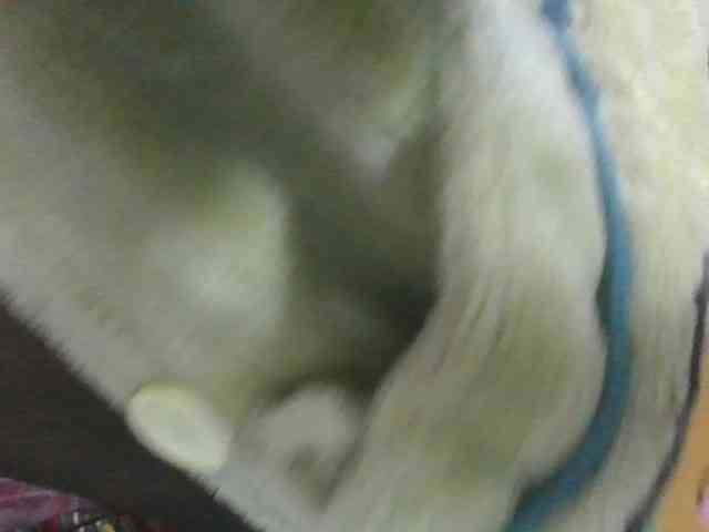 Marinah1a