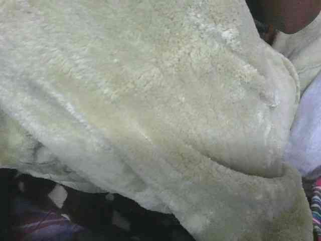 Marinah1a webcam