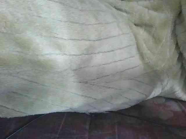 Marinah1a webcam