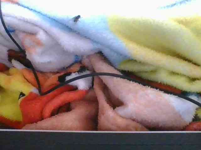 Marinah1a webcam