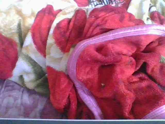 Marinah1a webcam