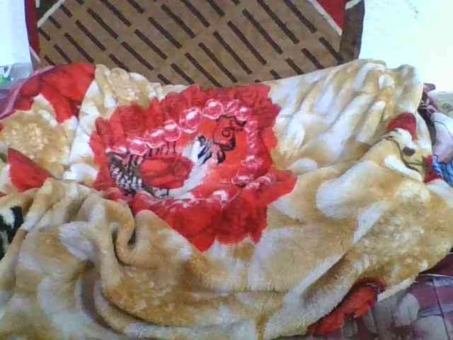 Marinah1a webcam