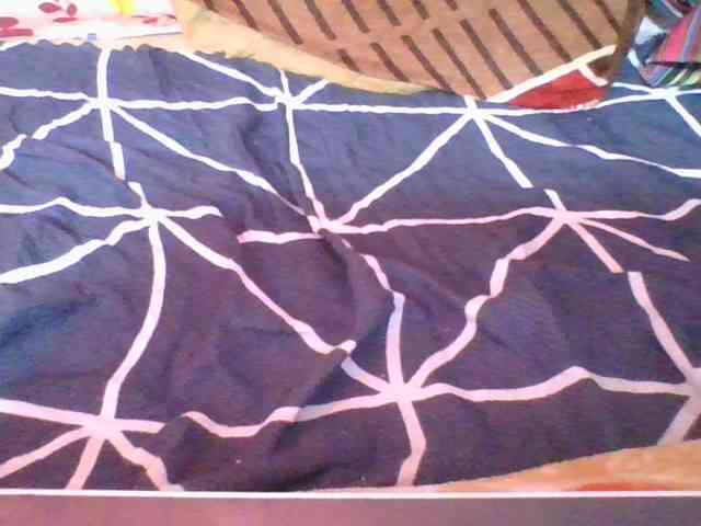 Marinah1a