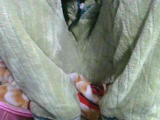 Marinah1a webcam
