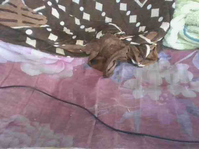 Marinah1a webcam