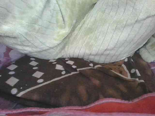 Marinah1a webcam