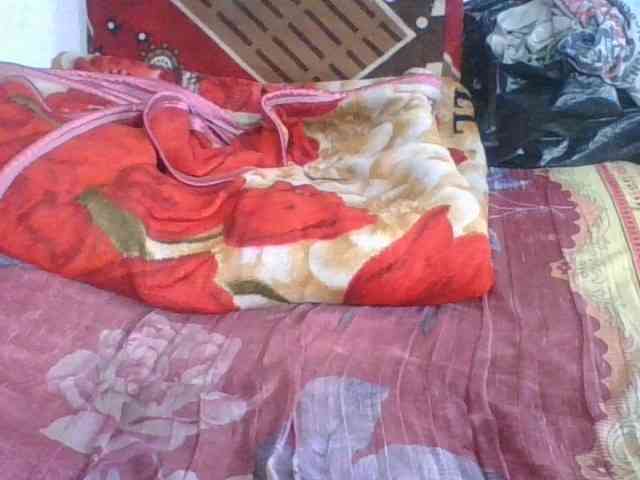 Marinah1a