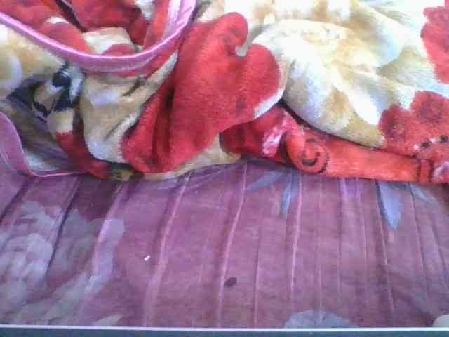 Marinah1a webcam