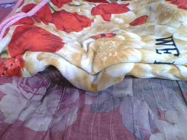 Marinah1a