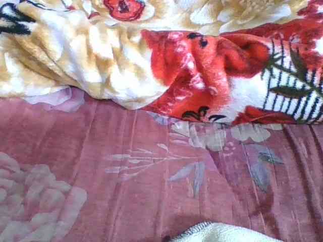 Marinah1a webcam