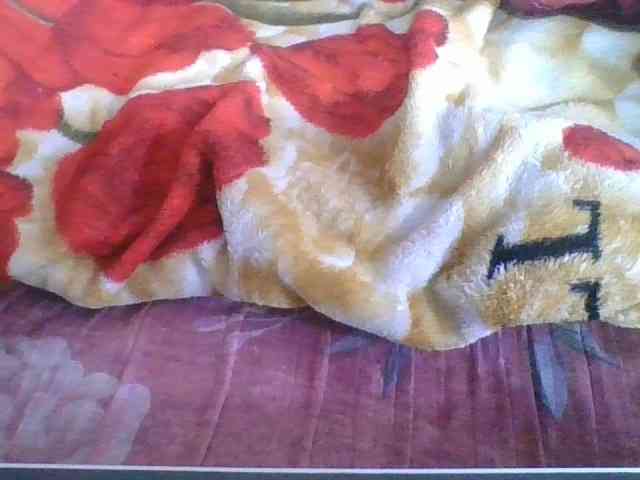 Marinah1a webcam