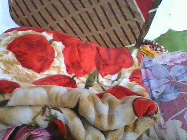 Marinah1a webcam