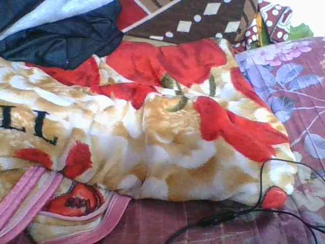 Marinah1a webcam
