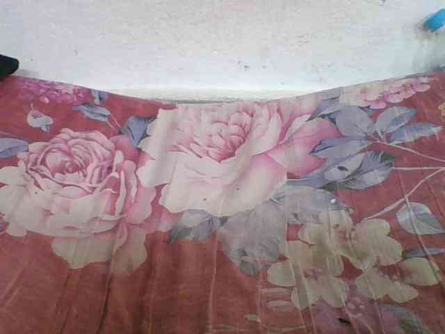 Marinah1a webcam