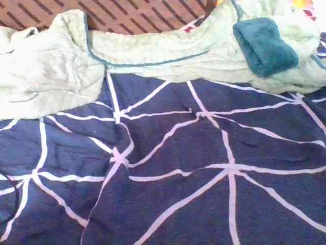 Marinah1a