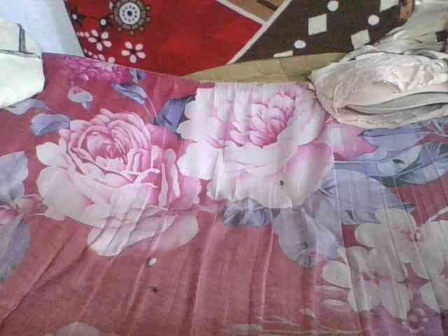 Marinah1a webcam