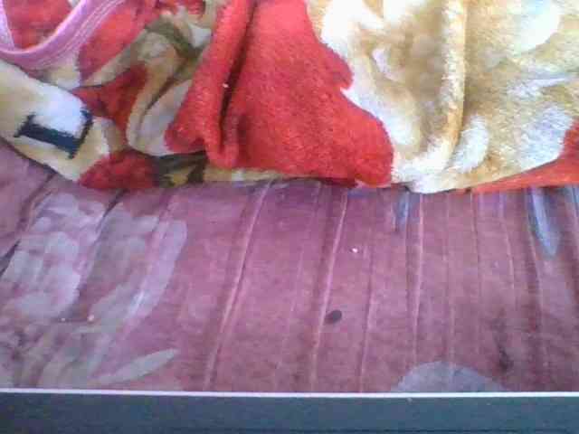 Marinah1a webcam
