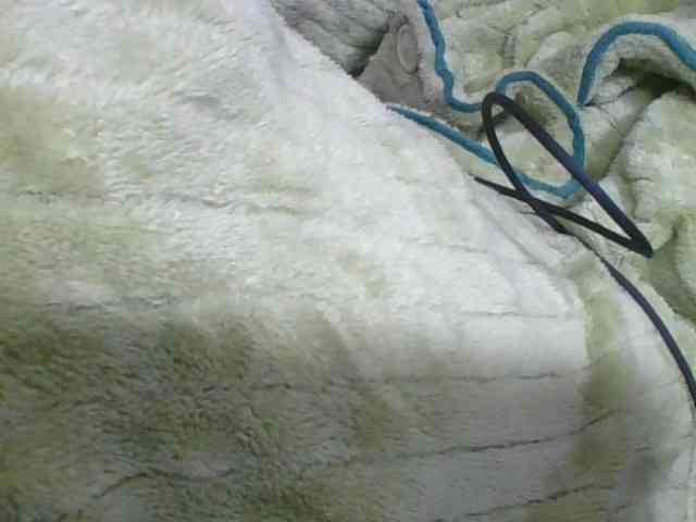 Marinah1a webcam