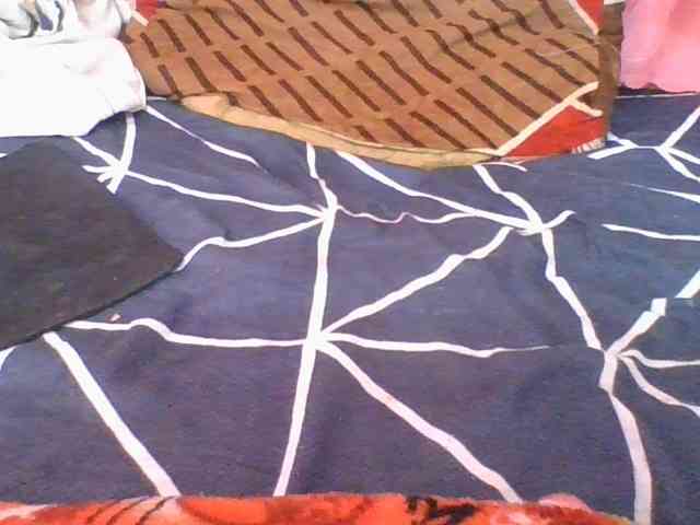 Marinah1a