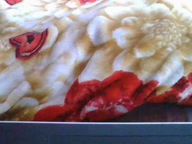 Marinah1a webcam