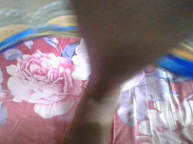 Marinah1a webcam