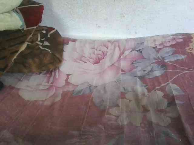 Marinah1a webcam